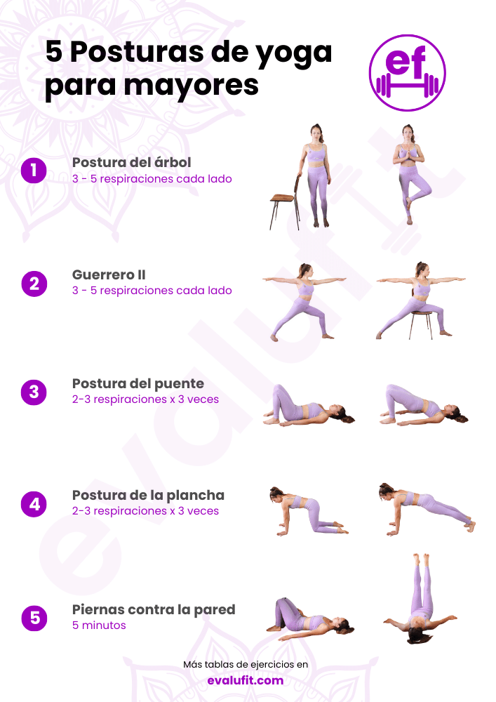 vinyasa yoga pdf esp