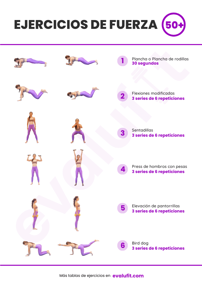 ejercicios de fuerza pdf