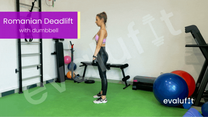 Romanian Deadlift with Dumbbell - Evalufit