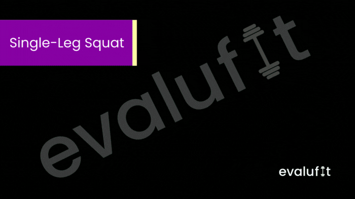 Single Leg Squat - Evalufit