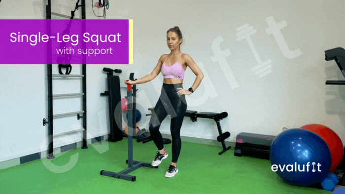 Single Leg Squat with Support - Evalufit
