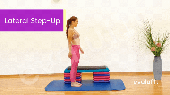 Weighted Step-Up - Evalufit