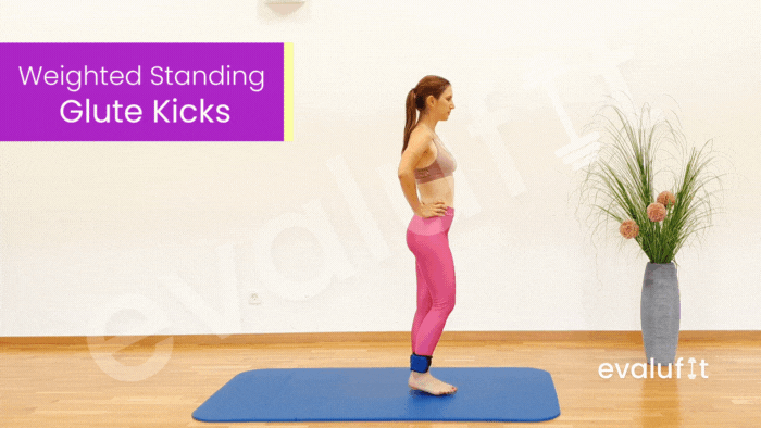 Weighted Standing Glute Kicks - Evalufit